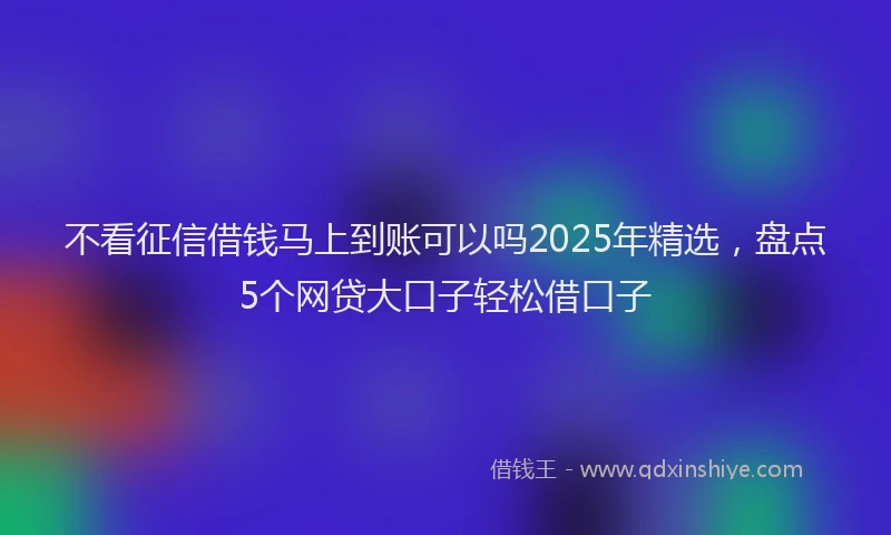 不看征信借钱马上到账可以吗2025年精选，盘点5个网贷大口子轻松借口子