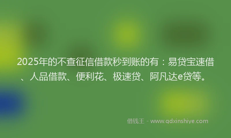 2025年的不查征信借款秒到账的有：易贷宝速借、人品借款、便利花、极速贷、阿凡达e贷等。