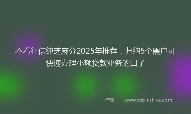 不看征信纯芝麻分2025年推荐，归纳5个黑户可快速办理小额贷款业务的口子