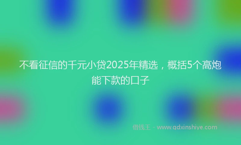 不看征信的千元小贷2025年精选，概括5个高炮能下款的口子
