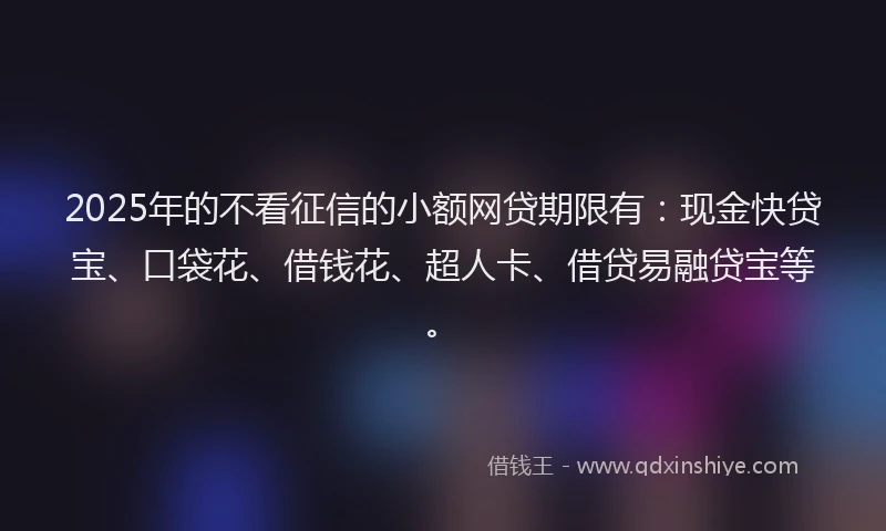 2025年的不看征信的小额网贷期限有：现金快贷宝、口袋花、借钱花、超人卡、借贷易融贷宝等。