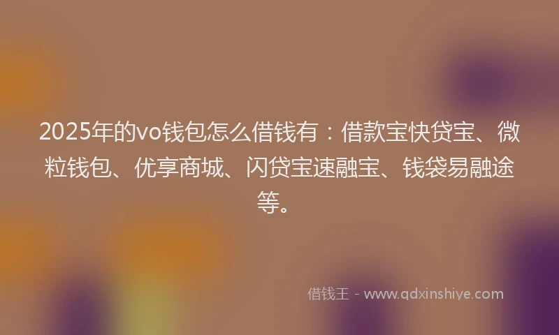 2025年的vo钱包怎么借钱有：借款宝快贷宝、微粒钱包、优享商城、闪贷宝速融宝、钱袋易融途等。