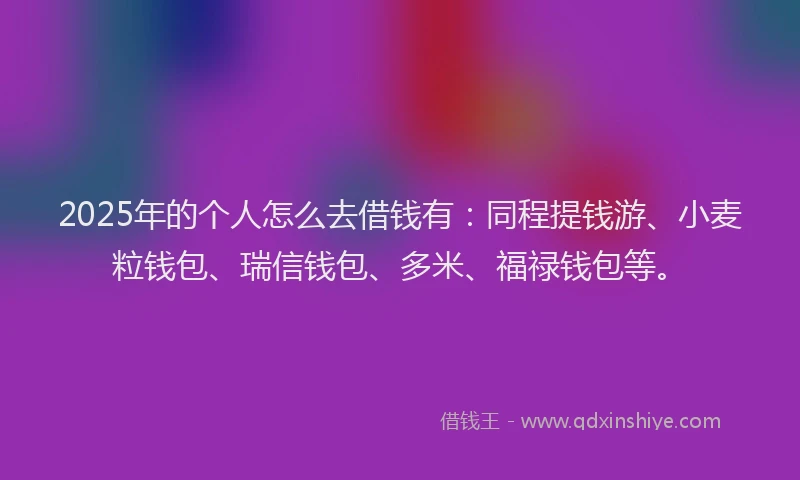 2025年的个人怎么去借钱有:同程提钱游、小麦粒钱包、瑞信钱包、多米、福禄钱包等。
