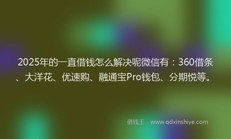 2025年的一直借钱怎么解决呢微信有：360借条、大洋花、优速购、融通宝Pro钱包、分期悦等。