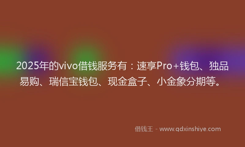 2025年的vivo借钱服务有：速享Pro+钱包、独品易购、瑞信宝钱包、现金盒子、小金象分期等。