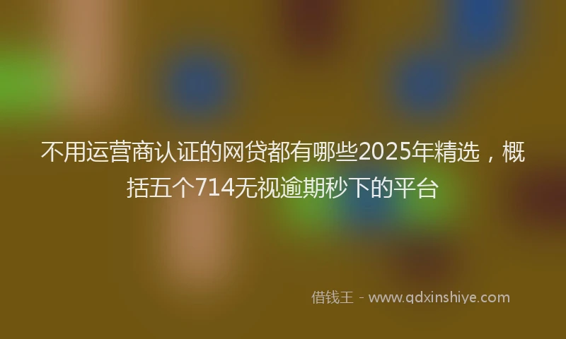 不用运营商认证的网贷都有哪些2025年精选，概括五个714无视逾期秒下的平台
