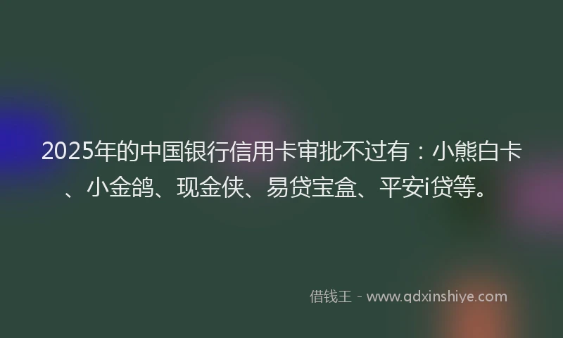 2025年的中国银行信用卡审批不过有：小熊白卡、小金鸽、现金侠、易贷宝盒、平安i贷等。