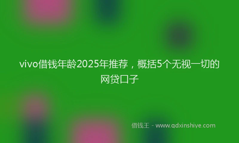 vivo借钱年龄2025年推荐，概括5个无视一切的网贷口子