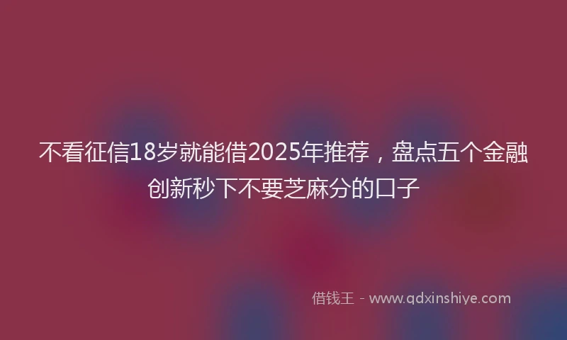 不看征信18岁就能借2025年推荐，盘点五个金融创新秒下不要芝麻分的口子