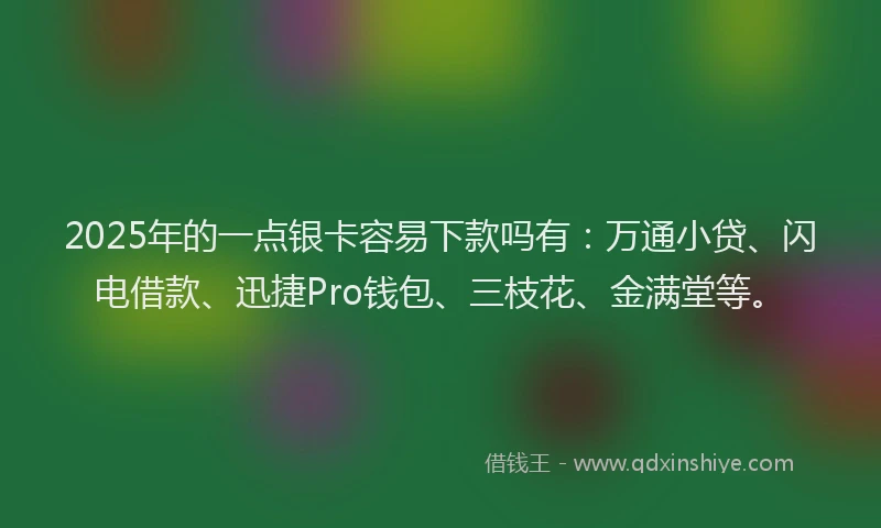 2025年的一点银卡容易下款吗有：万通小贷、闪电借款、迅捷Pro钱包、三枝花、金满堂等。