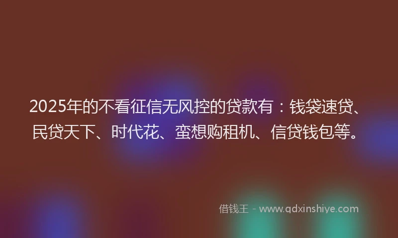 2025年的不看征信无风控的贷款有：钱袋速贷、民贷天下、时代花、蛮想购租机、信贷钱包等。
