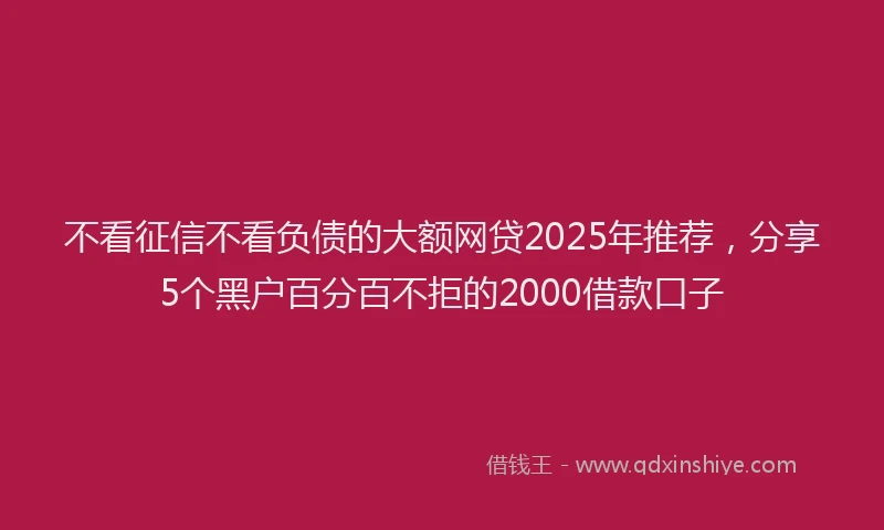 不看征信不看负债的大额网贷2025年推荐，分享5个黑户百分百不拒的2000借款口子