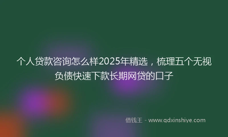 个人贷款咨询怎么样2025年精选，梳理五个无视负债快速下款长期网贷的口子