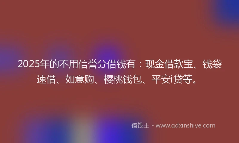 2025年的不用信誉分借钱有：现金借款宝、钱袋速借、如意购、樱桃钱包、平安i贷等。