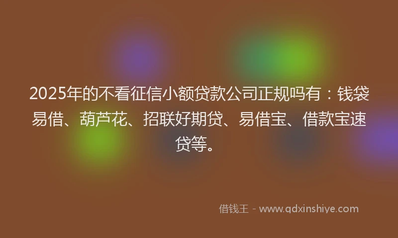 2025年的不看征信小额贷款公司正规吗有：钱袋易借、葫芦花、招联好期贷、易借宝、借款宝速贷等。