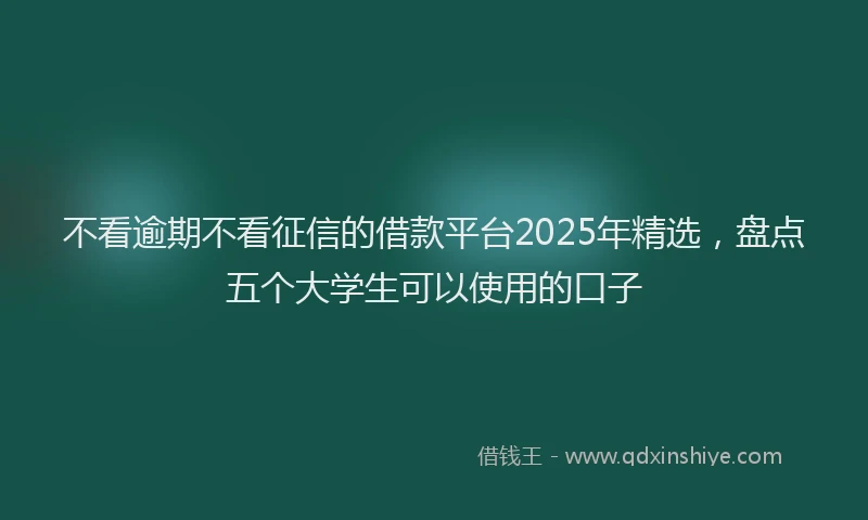 不看逾期不看征信的借款平台2025年精选，盘点五个大学生可以使用的口子