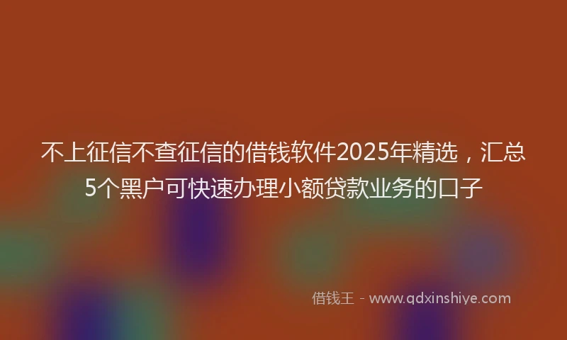 不上征信不查征信的借钱软件2025年精选，汇总5个黑户可快速办理小额贷款业务的口子