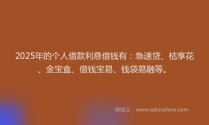 2025年的个人借款利息借钱有：急速贷、桔享花、金宝盒、借钱宝易、钱袋易融等。
