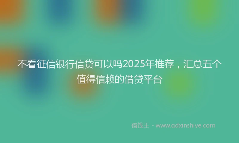 不看征信银行信贷可以吗2025年推荐,汇总五个值得信赖的借贷平台