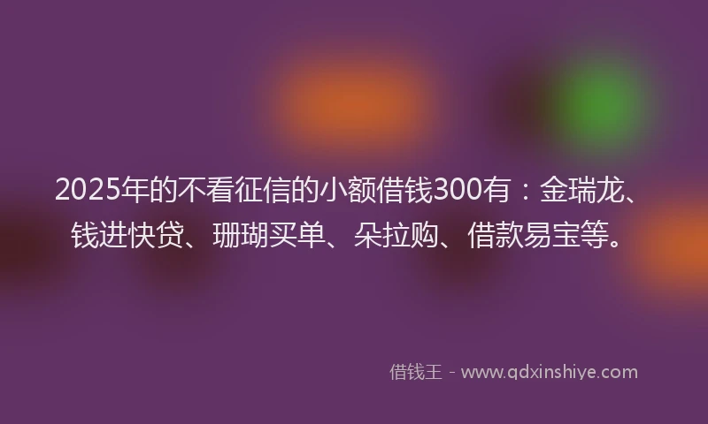 2025年的不看征信的小额借钱300有：金瑞龙、钱进快贷、珊瑚买单、朵拉购、借款易宝等。