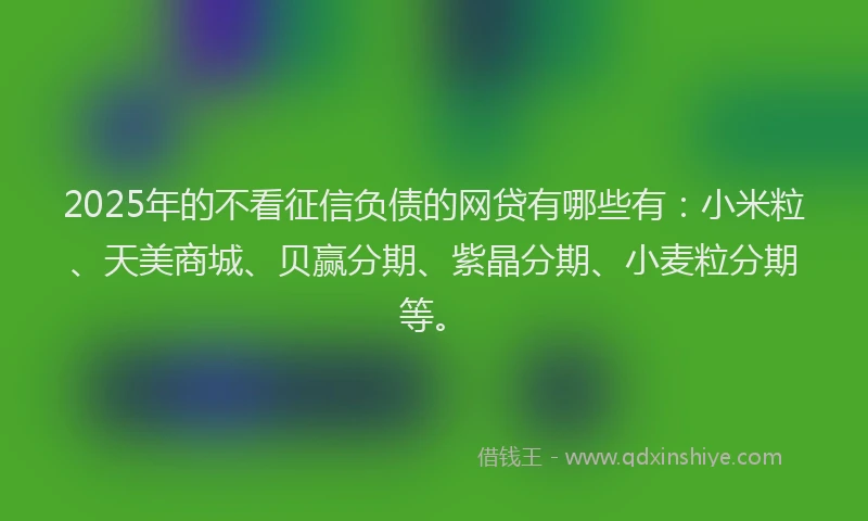 2025年的不看征信负债的网贷有哪些有：小米粒、天美商城、贝赢分期、紫晶分期、小麦粒分期等。