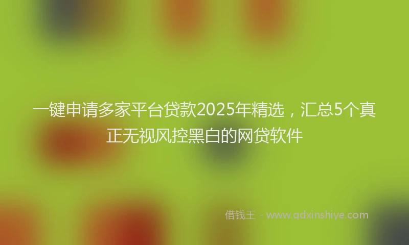 一键申请多家平台贷款2025年精选，汇总5个真正无视风控黑白的网贷软件