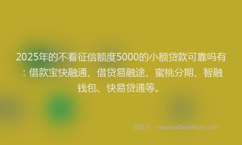 2025年的不看征信额度5000的小额贷款可靠吗有：借款宝快融通、借贷易融途、蜜桃分期、智融钱包、快易贷通等。