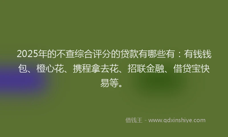 2025年的不查综合评分的贷款有哪些有：有钱钱包、橙心花、携程拿去花、招联金融、借贷宝快易等。