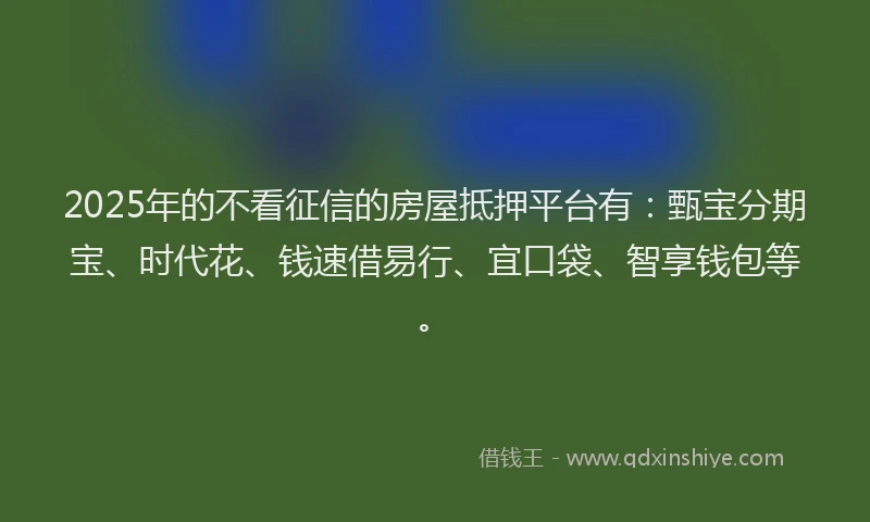 2025年的不看征信的房屋抵押平台有：甄宝分期宝、时代花、钱速借易行、宜口袋、智享钱包等。
