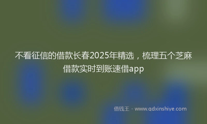 不看征信的借款长春2025年精选，梳理五个芝麻借款实时到账速借app