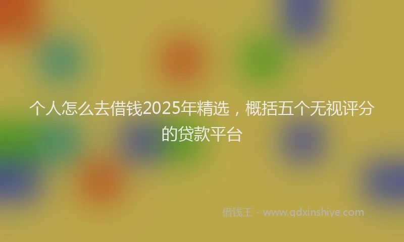 个人怎么去借钱2025年精选，概括五个无视评分的贷款平台