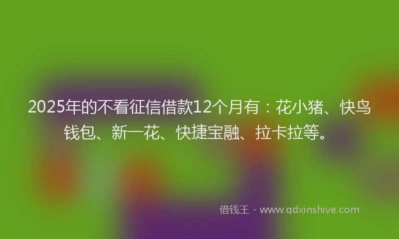 2025年的不看征信借款12个月有：花小猪、快鸟钱包、新一花、快捷宝融、拉卡拉等。