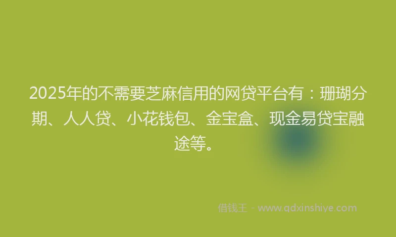 2025年的不需要芝麻信用的网贷平台有：珊瑚分期、人人贷、小花钱包、金宝盒、现金易贷宝融途等。