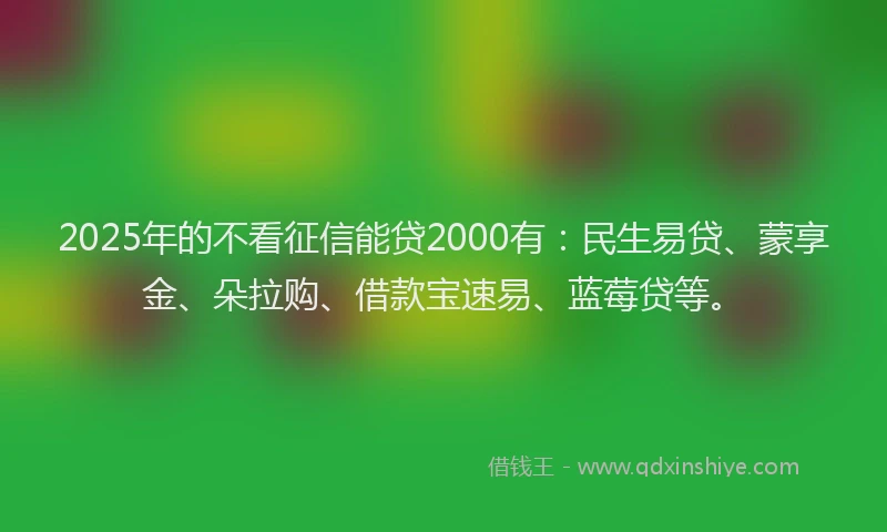 2025年的不看征信能贷2000有：民生易贷、蒙享金、朵拉购、借款宝速易、蓝莓贷等。