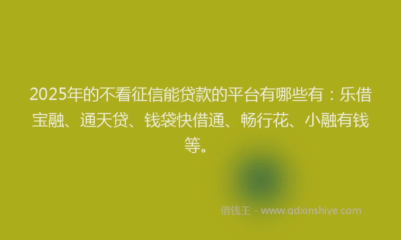 2025年的不看征信能贷款的平台有哪些有：乐借宝融、通天贷、钱袋快借通、畅行花、小融有钱等。