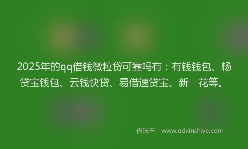 2025年的qq借钱微粒贷可靠吗有：有钱钱包、畅贷宝钱包、云钱快贷、易借速贷宝、新一花等。