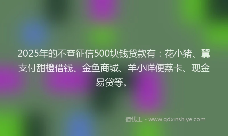 2025年的不查征信500块钱贷款有：花小猪、翼支付甜橙借钱、金鱼商城、羊小咩便荔卡、现金易贷等。