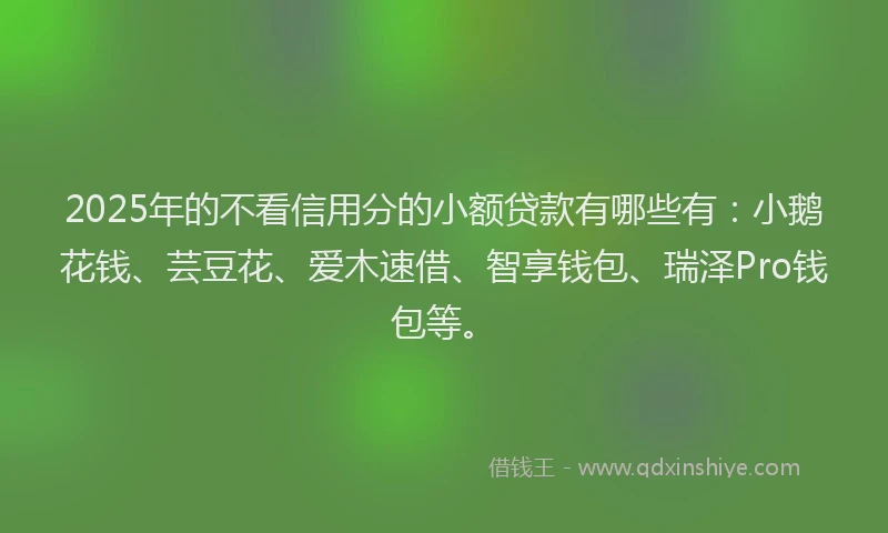 2025年的不看信用分的小额贷款有哪些有：小鹅花钱、芸豆花、爱木速借、智享钱包、瑞泽Pro钱包等。