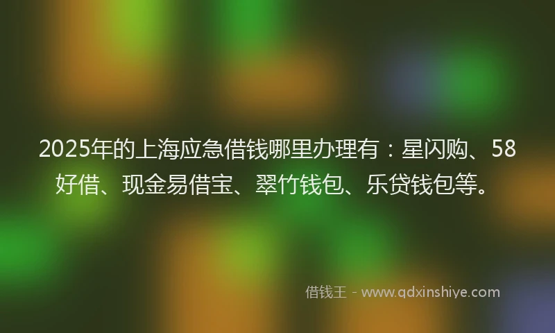 2025年的上海应急借钱哪里办理有：星闪购、58好借、现金易借宝、翠竹钱包、乐贷钱包等。