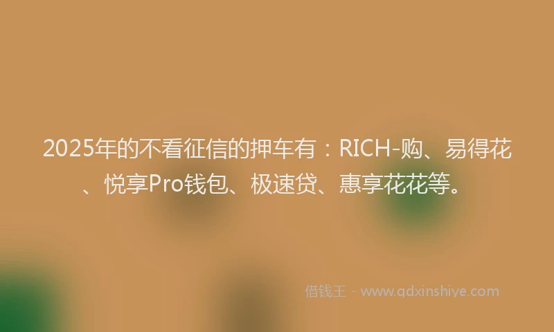 2025年的不看征信的押车有：RICH-购、易得花、悦享Pro钱包、极速贷、惠享花花等。