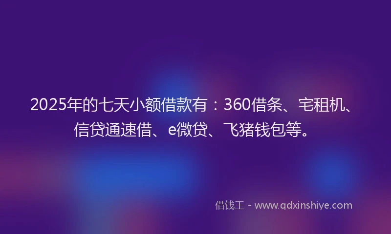 2025年的七天小额借款有：360借条、宅租机、信贷通速借、e微贷、飞猪钱包等。