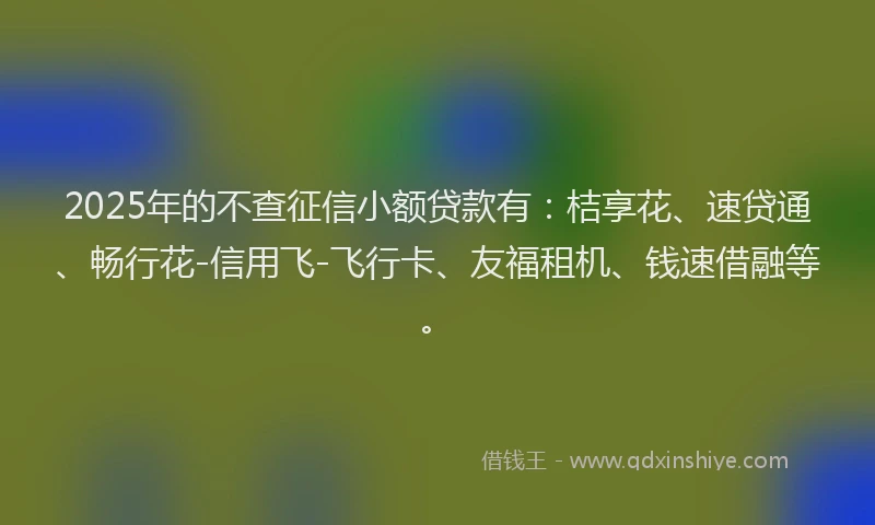 2025年的不查征信小额贷款有：桔享花、速贷通、畅行花-信用飞-飞行卡、友福租机、钱速借融等。