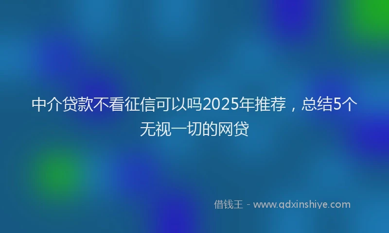 中介贷款不看征信可以吗2025年推荐，总结5个无视一切的网贷