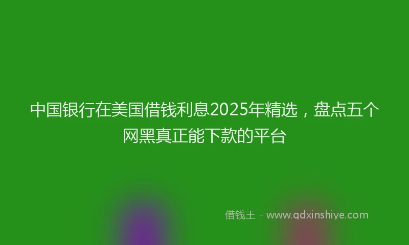中国银行在美国借钱利息2025年精选，盘点五个网黑真正能下款的平台
