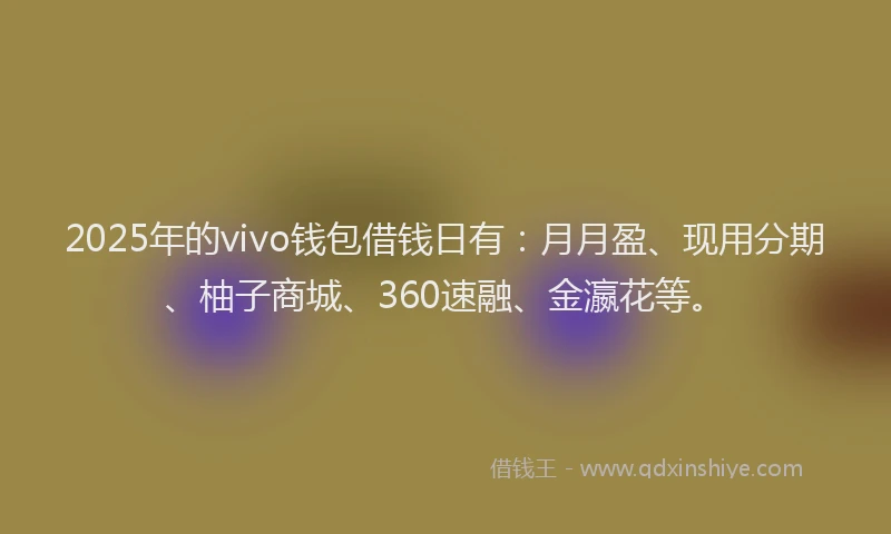 2025年的vivo钱包借钱日有：月月盈、现用分期、柚子商城、360速融、金瀛花等。