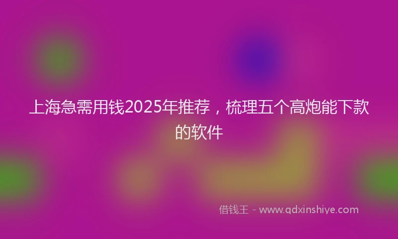 上海急需用钱2025年推荐，梳理五个高炮能下款的软件