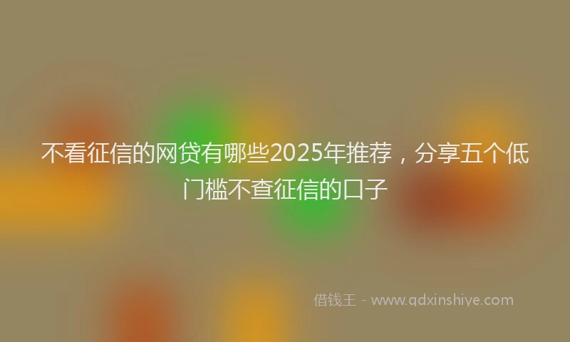 不看征信的网贷有哪些2025年推荐，分享五个低门槛不查征信的口子