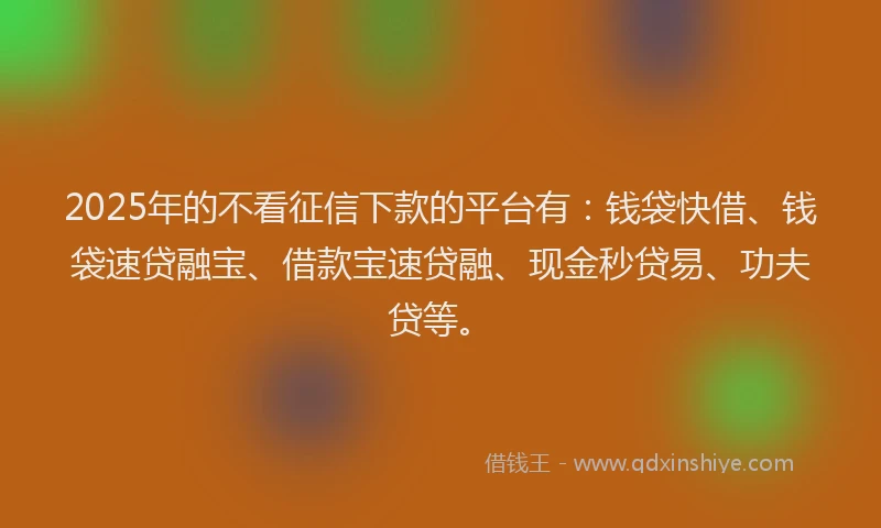 2025年的不看征信下款的平台有：钱袋快借、钱袋速贷融宝、借款宝速贷融、现金秒贷易、功夫贷等。