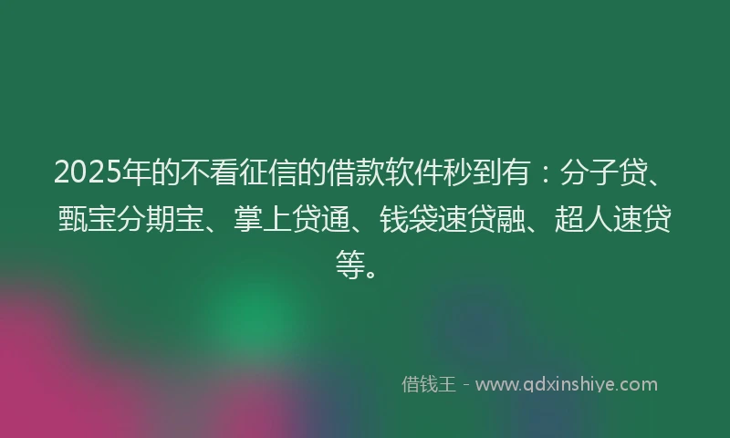 2025年的不看征信的借款软件秒到有：分子贷、甄宝分期宝、掌上贷通、钱袋速贷融、超人速贷等。