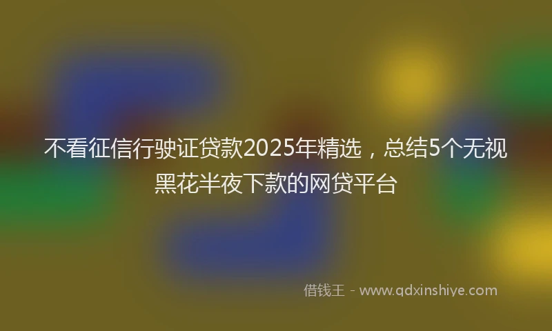 不看征信行驶证贷款2025年精选，总结5个无视黑花半夜下款的网贷平台